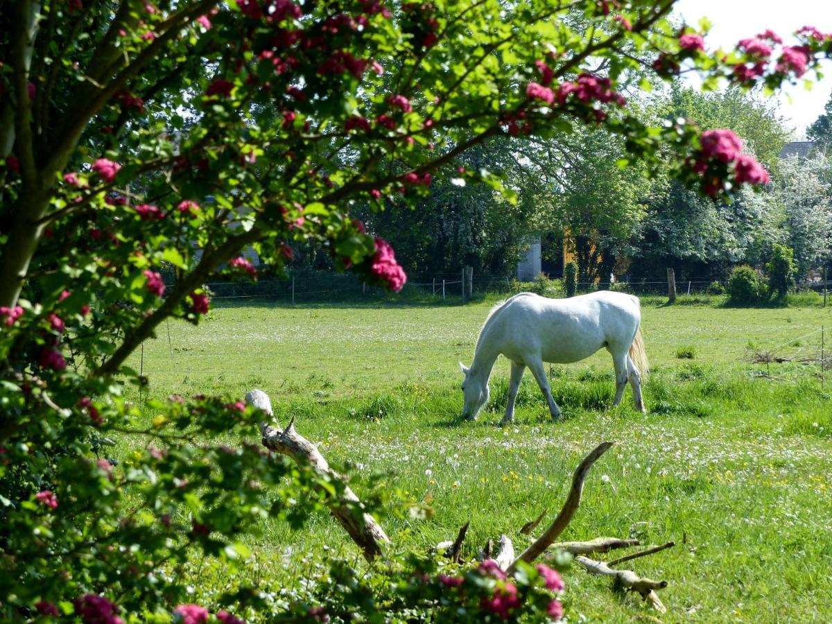 Gite La Taniere Le Jersey Moidrey Exterior foto